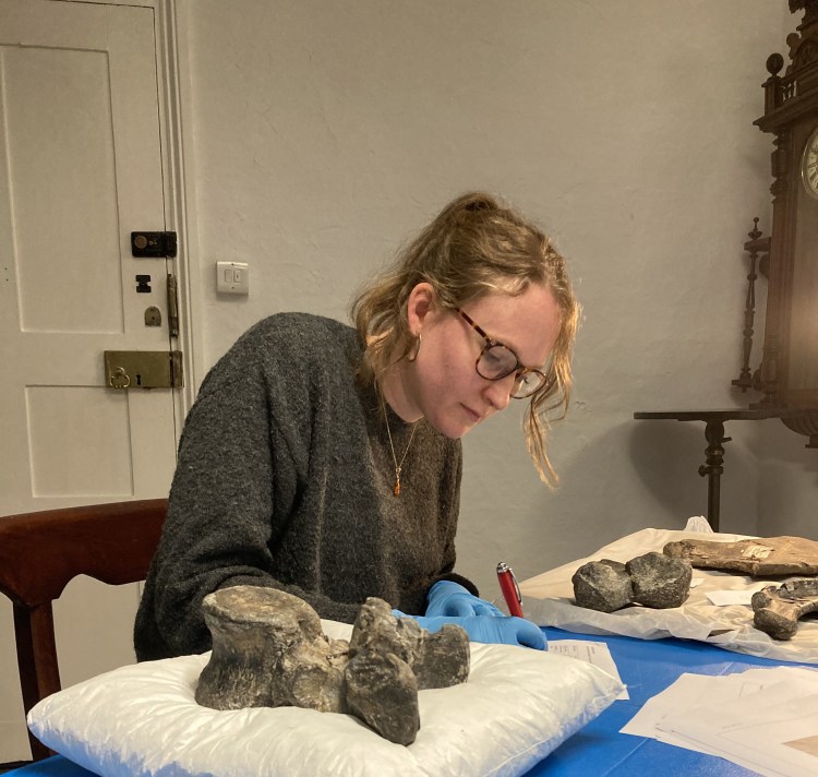 Curator’s Corner at Horsham Museum & Art&nbsp;Gallery