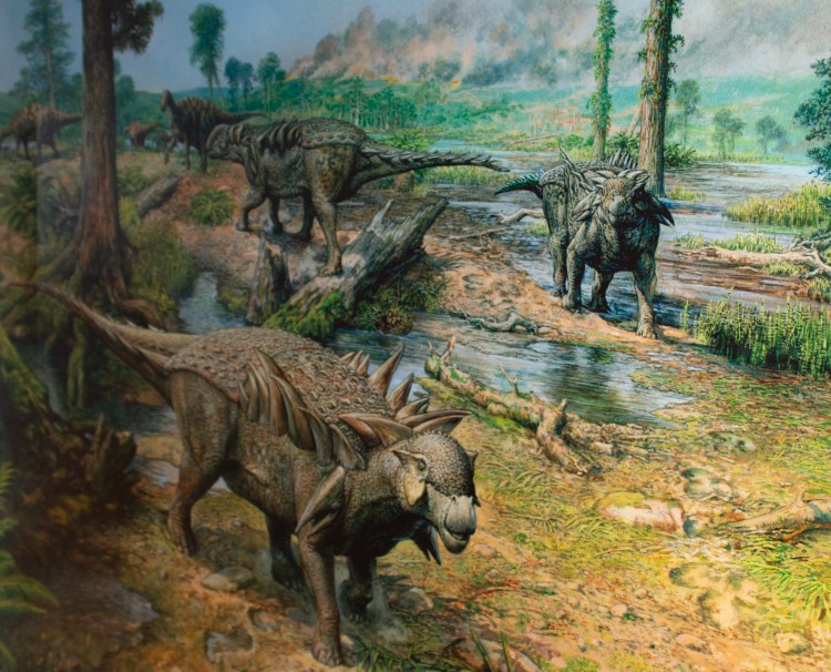 History of the&nbsp;Horshamosaurus